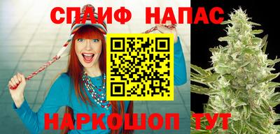 spice Бузулук