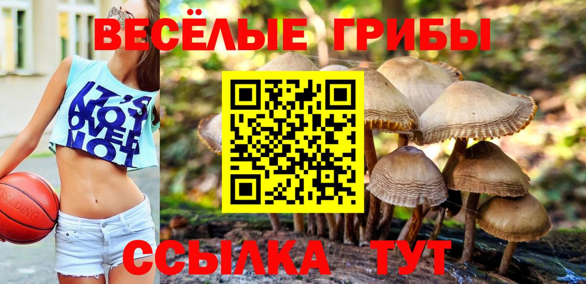 Муравленко  Псилоцибиновые грибы ЛСД  Вход с VPN 